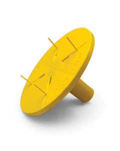 Beast Screed Adjustable Cap