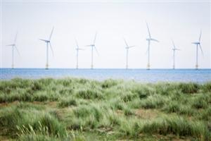 Brick trowel users 'to build offshore wind farm'